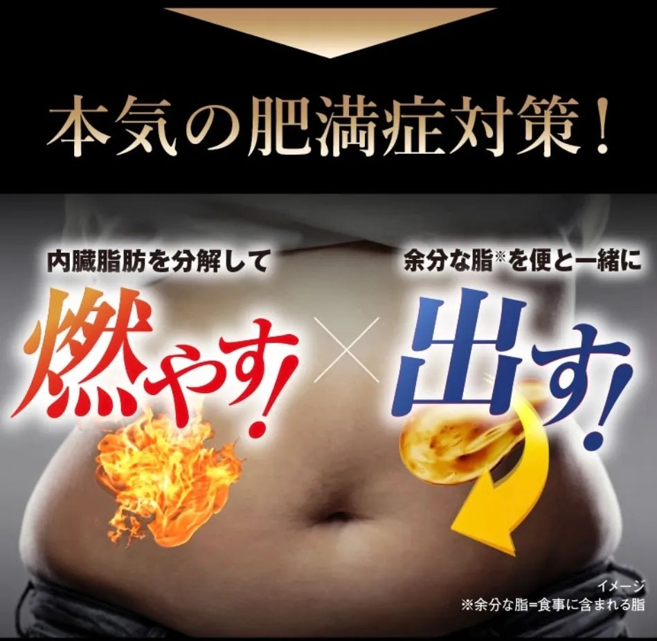 【日本熱銷🔥】小林製藥 ナイシトールZ 420錠|燃燒內臟脂肪 × 改善代謝|對抗中年小腹、重啟身體代謝引擎!