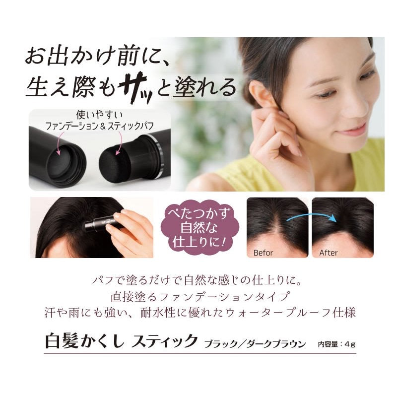 日本TO-PLAN白髮補染棒