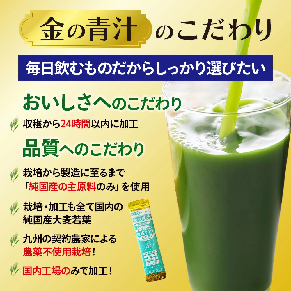 【日本藥健】金の青汁 Plasma乳酸菌 免疫護理 62包入|純國產大麥若葉 機能性表示食品 日本直送台灣