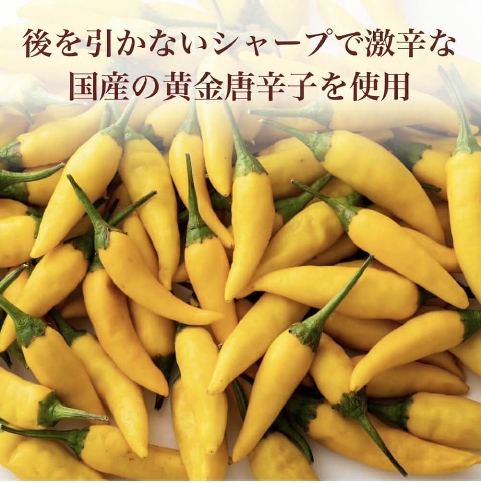 Kyoto's specialty: Kyoto Maiko Karako