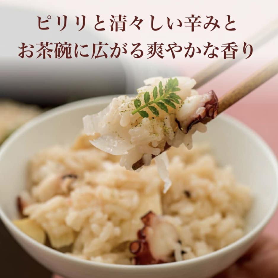 Kyoto's specialty: Kyoto Maiko Karako