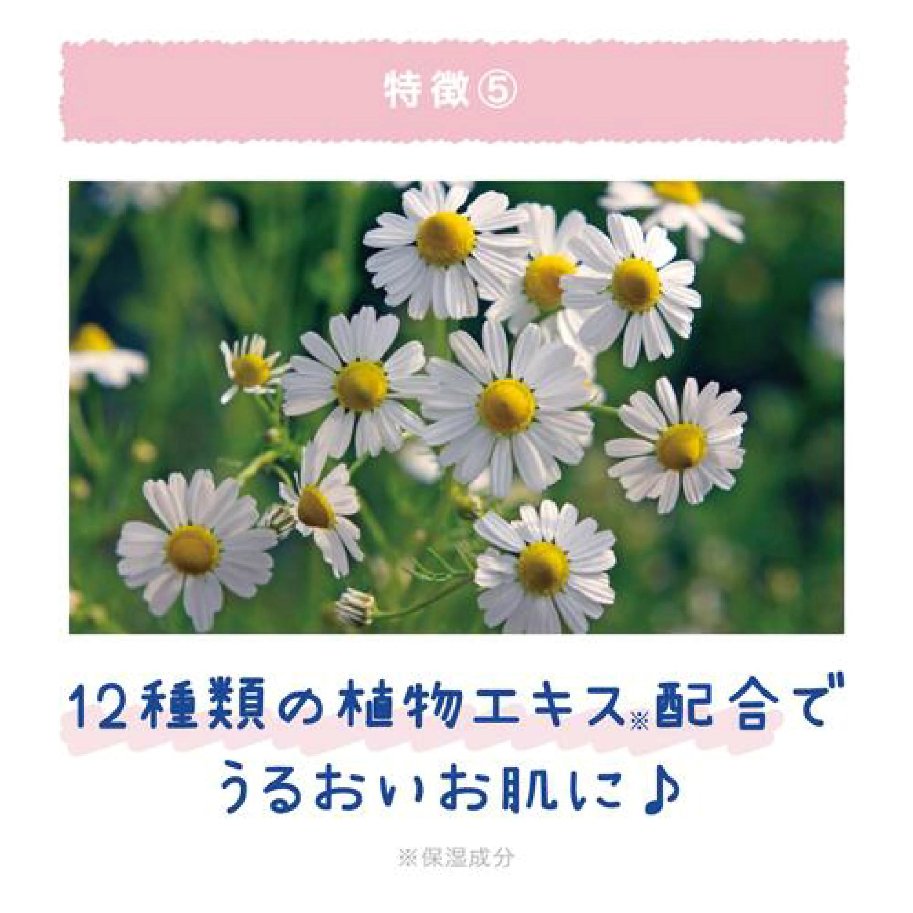 Coolist Asedalene Japan Scented Cooling Roller Stress Relief Stick 8ml