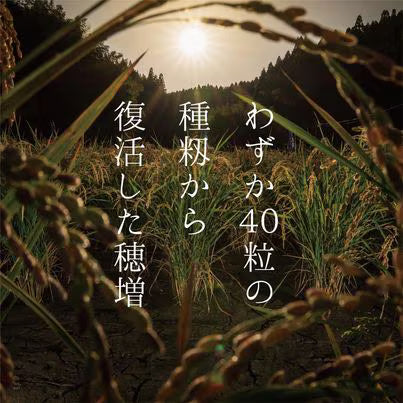 🍶 產土 産土(うぶすな)穂增 四農釀|720ml 無肥料自然栽培日本酒