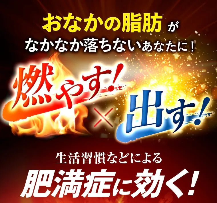 【日本熱銷🔥】小林製藥 ナイシトールZ 420錠|燃燒內臟脂肪 × 改善代謝|對抗中年小腹、重啟身體代謝引擎!