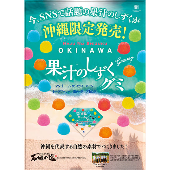 沖繩限定 果汁之滴軟糖|石垣鹽水果軟糖 13入|芒果・鳳梨・シークワーサー 日本伴手禮