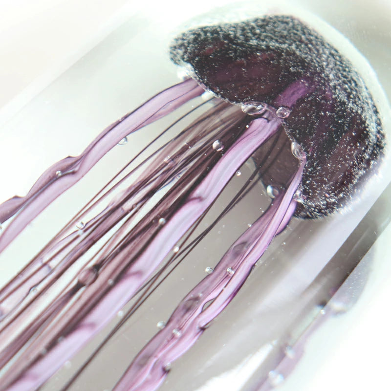 Japanese jellyfish decoration night light