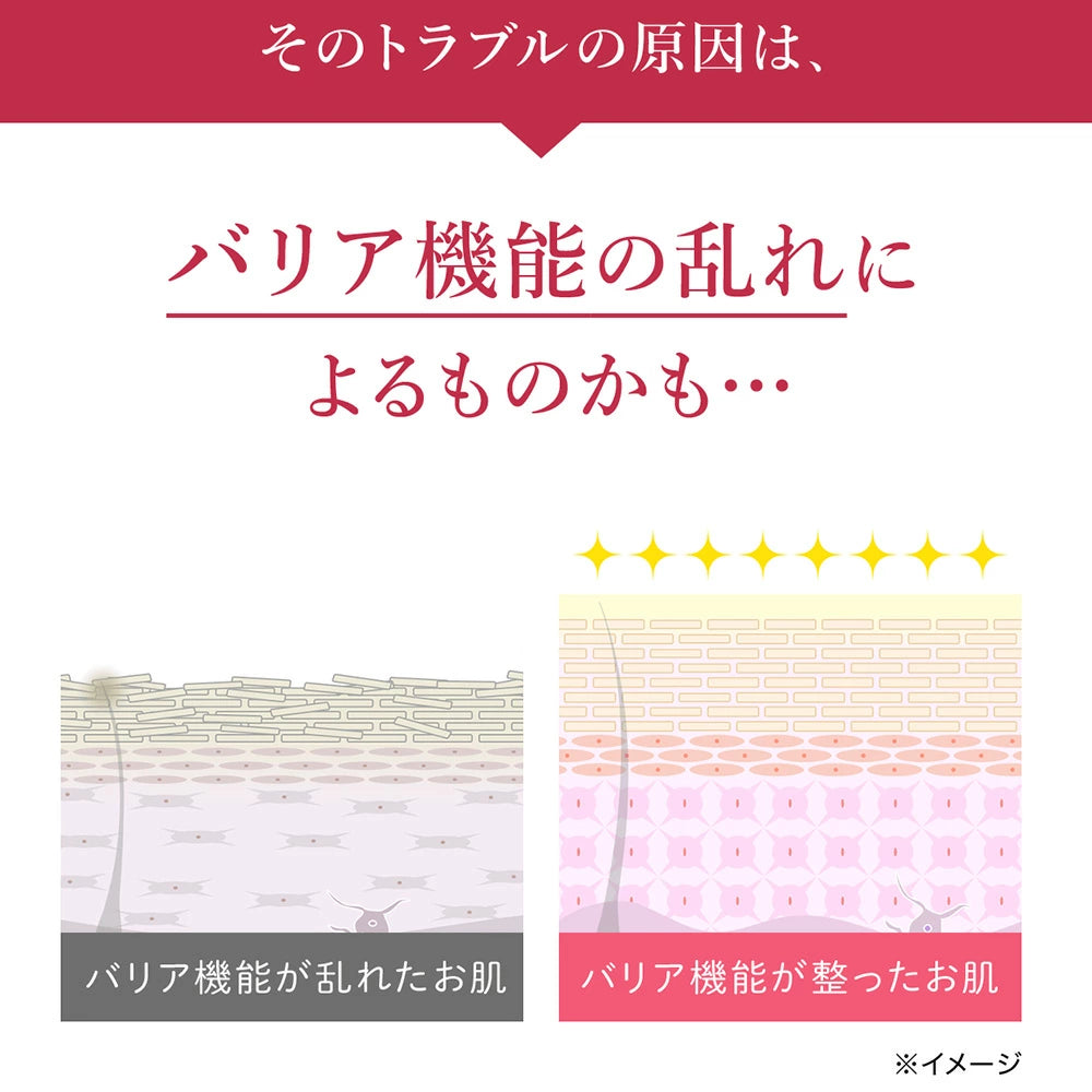 日本red argan 100美容液