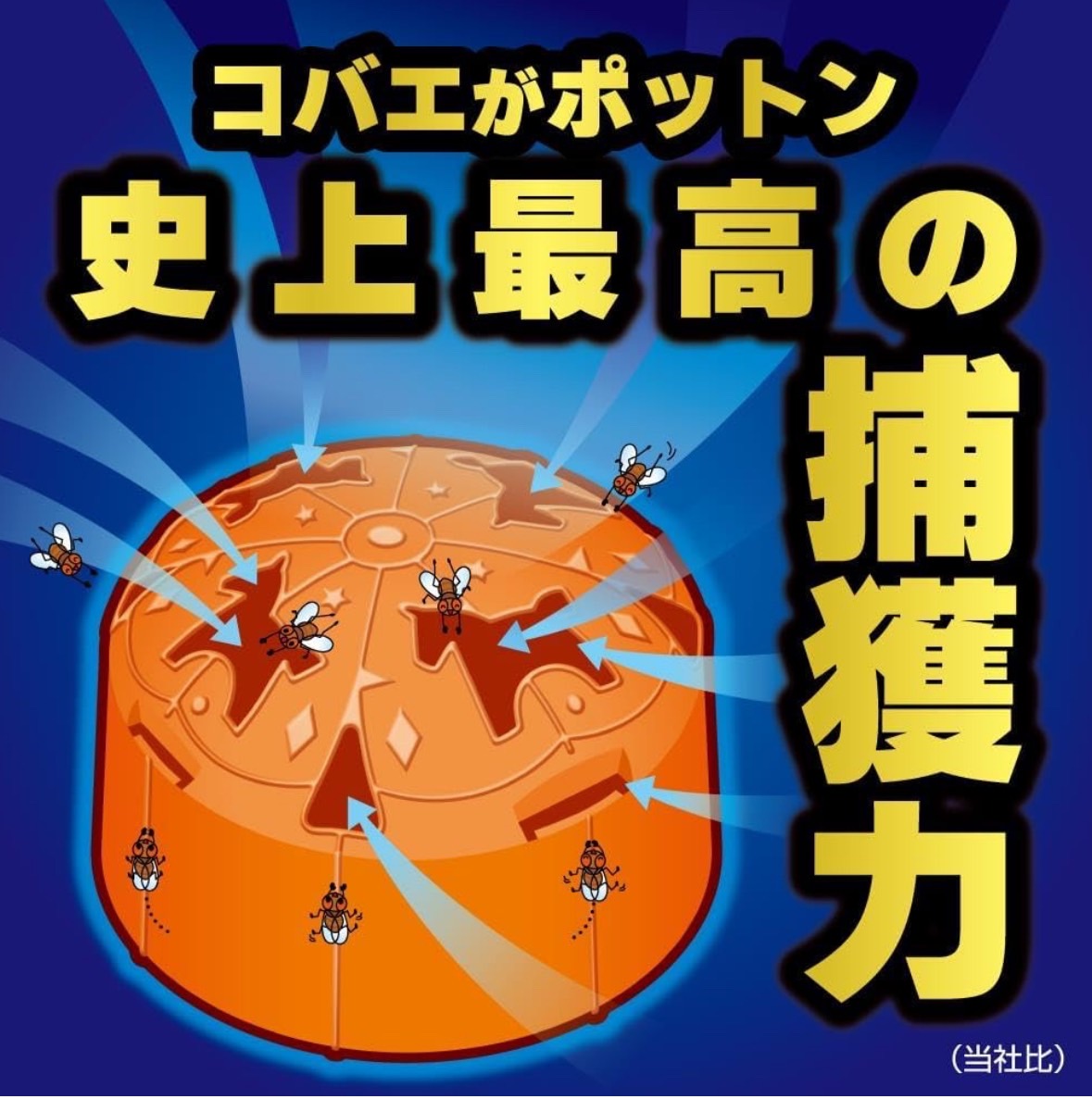 日本2024新版金鳥果蠅捕捉盒