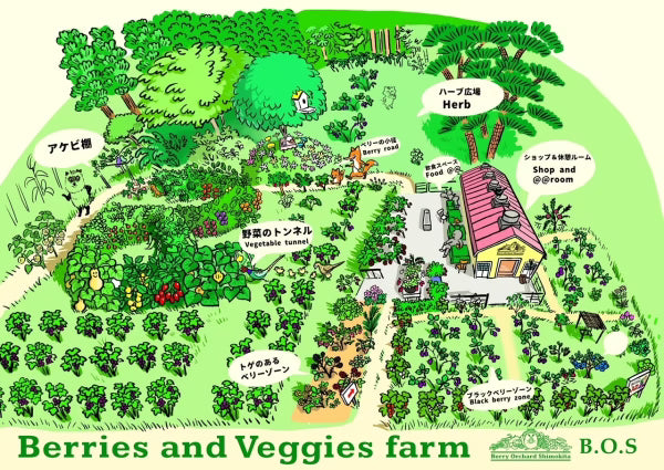 🧂日本青森限定|下北果園 手工動物造型藝術鹽