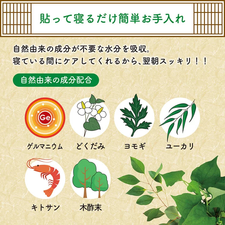 日本和漢樹液足貼