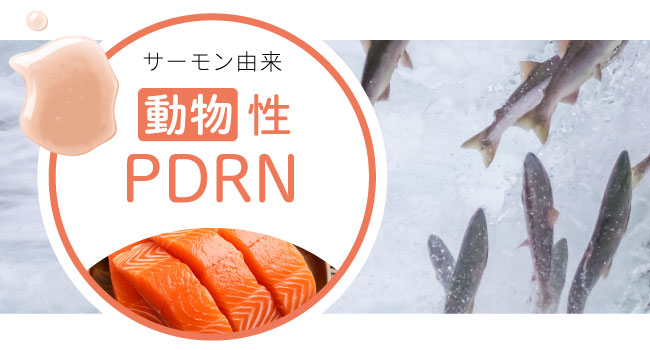 【日本製・雙 PDRN 1.1% 精華】Erelu WPDRN 緊緻發光安瓶 30mL｜鮭魚 PDRN × 高麗人參植系 PDRN｜補水、緊緻、毛孔淡·視·感｜8 大保濕＋7 大植萃一次到位