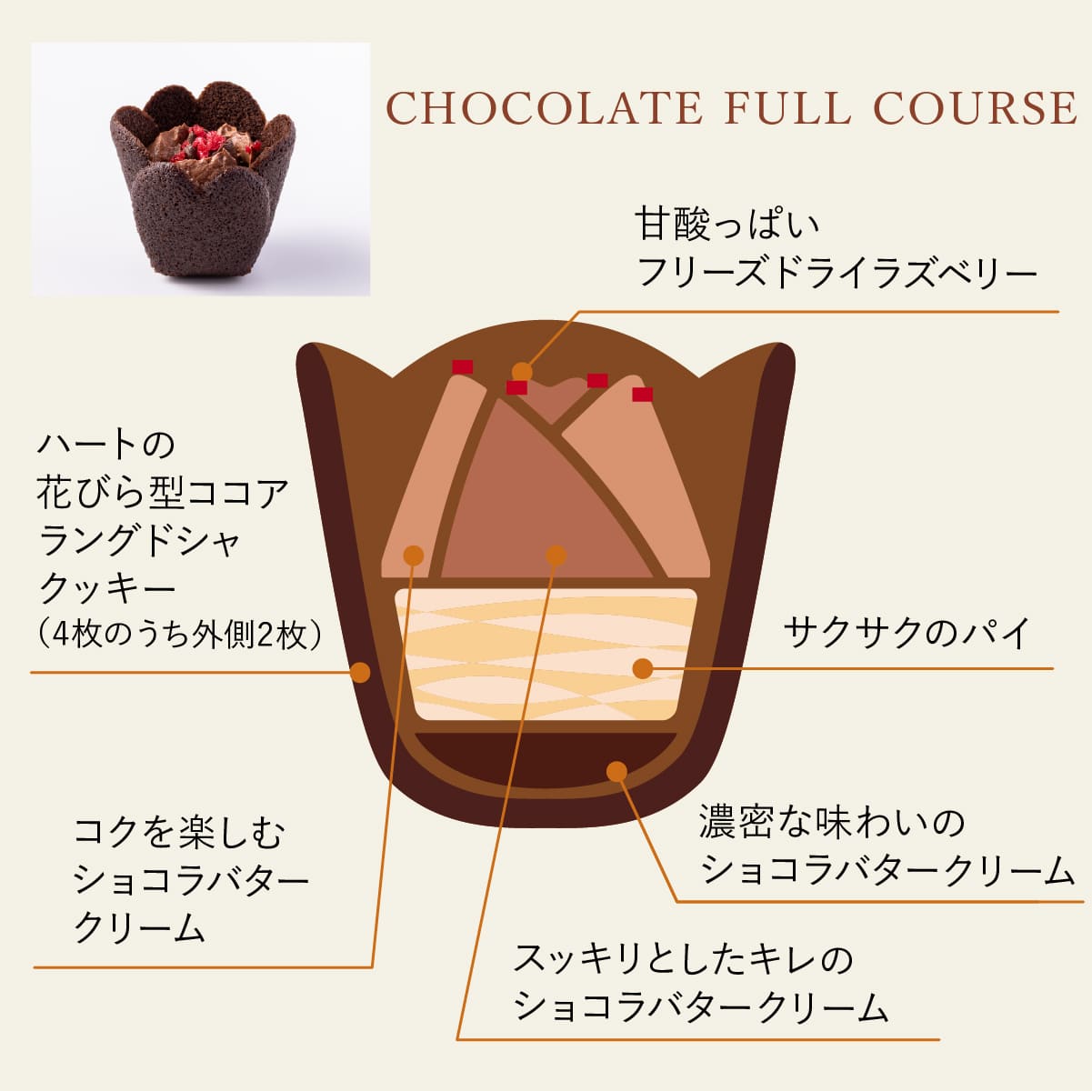 🌷【情人節限定】TOKYO TULIP ROSE 東京鬱金香玫瑰